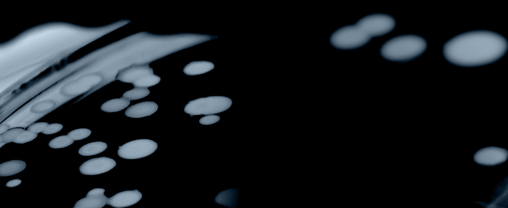 Mould Background Image Top