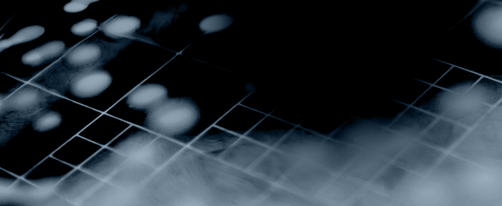 Mould Background Image Bottom