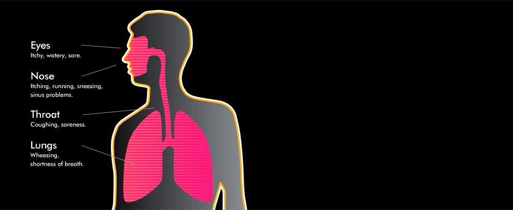 What is an Allergy? - Background image